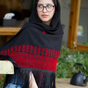 Handembroidered Black And Red Shawl